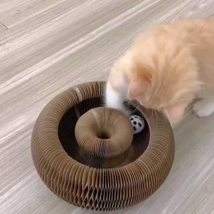 The Scratching Donut