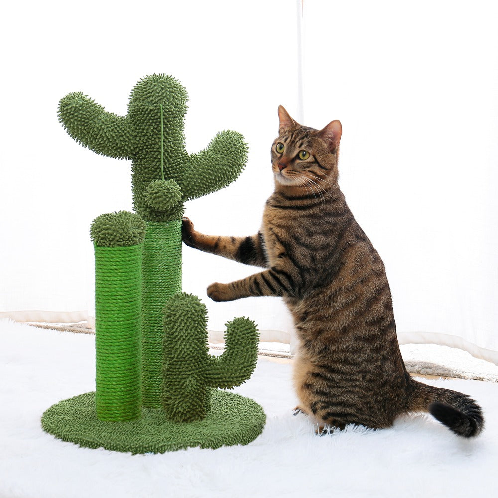 The Purrfect Scratching Cactus